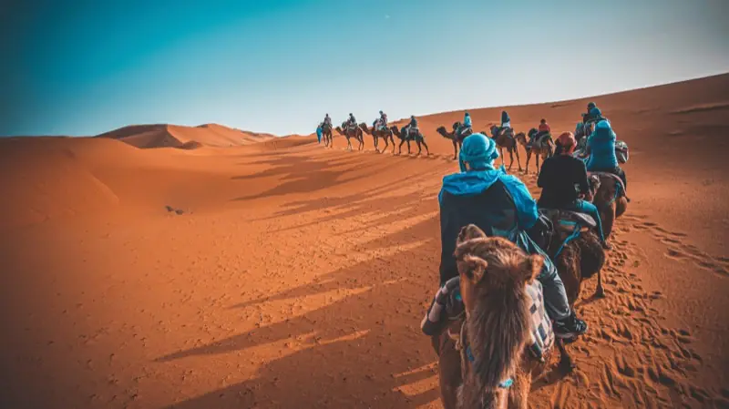 Camel Trekking in Morocco