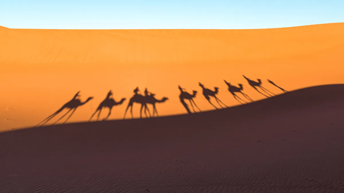 Erg Chigaga Dunes