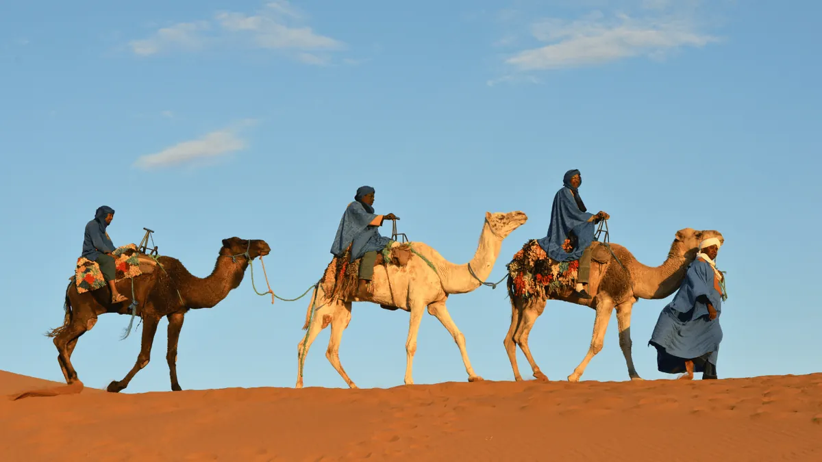 Camel Treks in Morocco