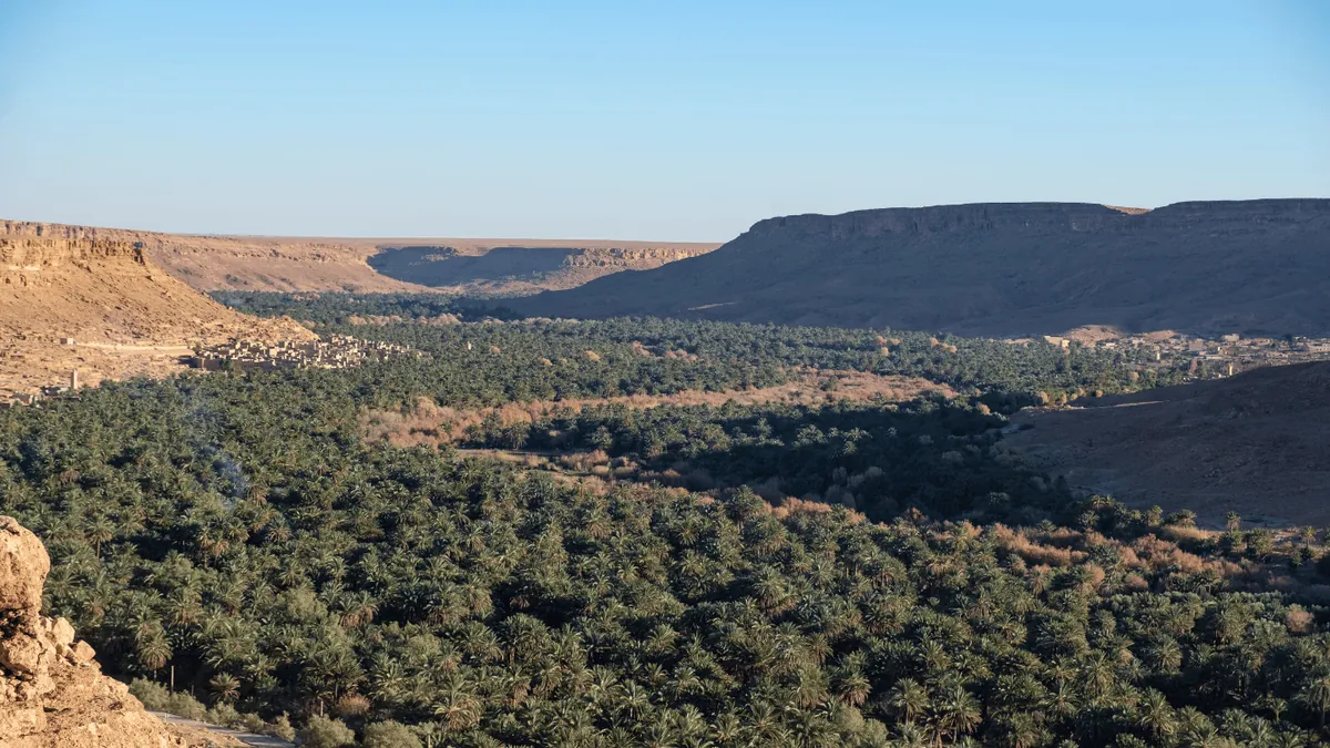 4. See the Oasis in Rissani - Best Things To Do in Rissani Morocco