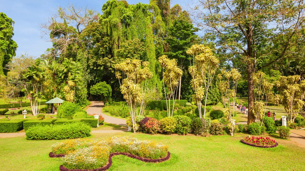 2.2 Royal Garden - Experience the Tranquility of Morocco Gardens: A Comprehensive Guide