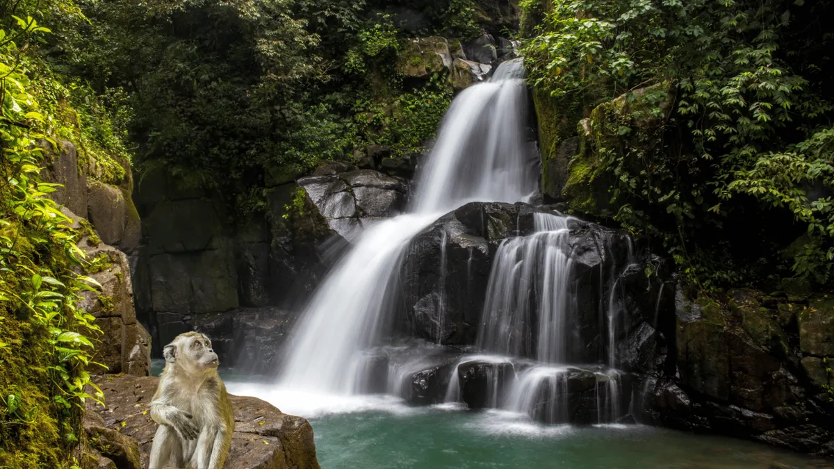 Up Close with Barbary Macaques and the Majestic Waterfall - Ouzoud Waterfalls: Exploring Nature’s Enchantment & Adventure