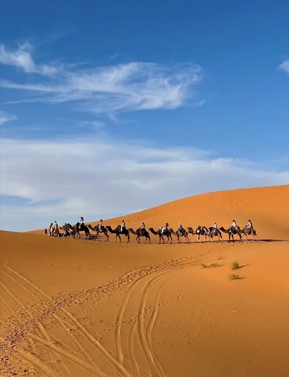 Camel caravan crossing the Erg Chebbi dunes in Merzouga