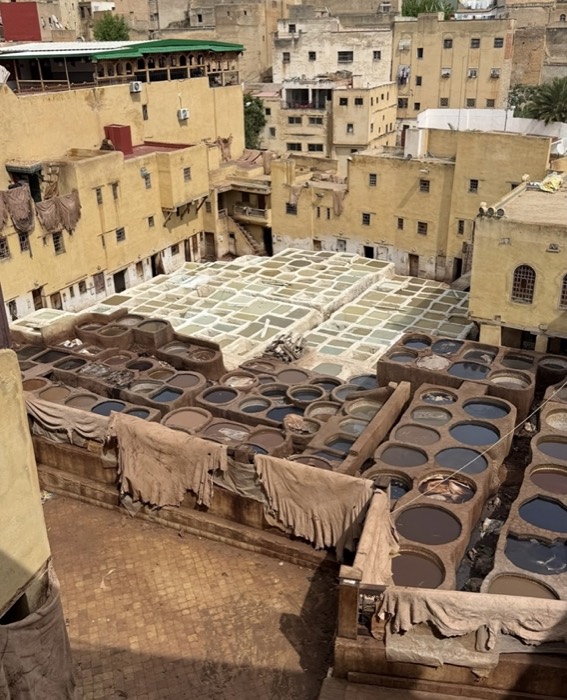 Tours from Fes