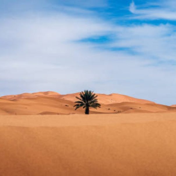 Tour di 4 Giorni da Agadir al Deserto