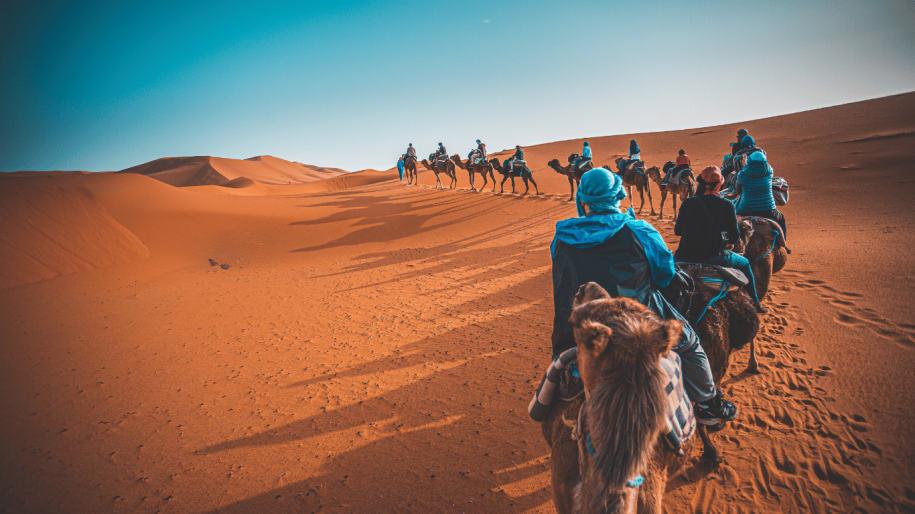 Cammello Trekking in Marocco