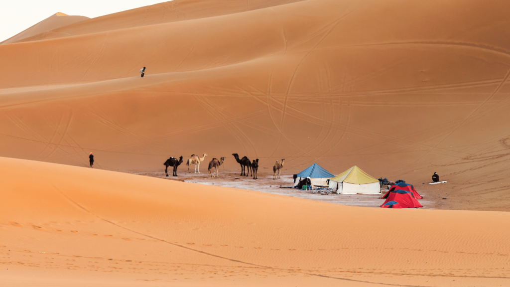 Campeggiare nel deserto e fare trekking in cammello in Marocco