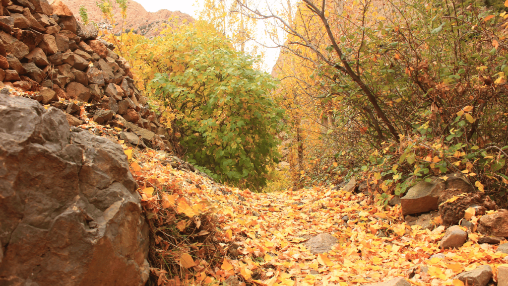 Autunno in Marocco