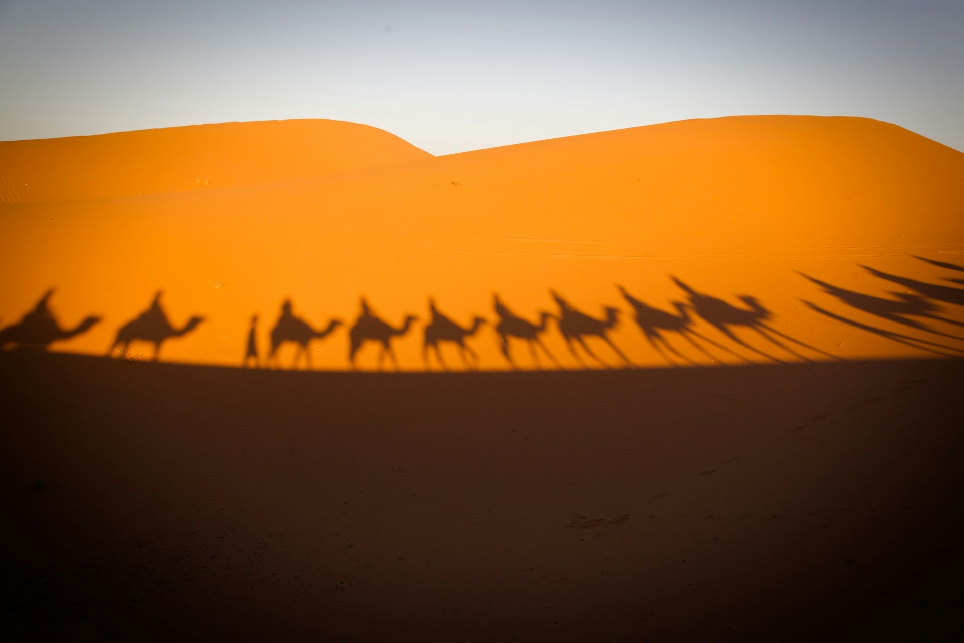 Camel caravan on a Merzouga desert tour at sunset