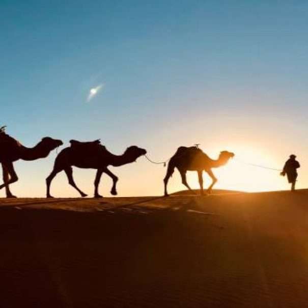 3 Day Sahara Desert Tour from Fes
