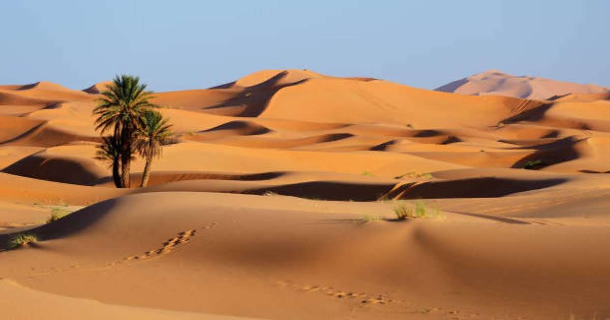 5 day fes to marrakech desert tour