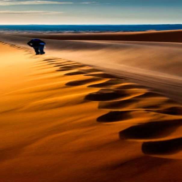 Desert Tour from Ouarzazate to Marrakech