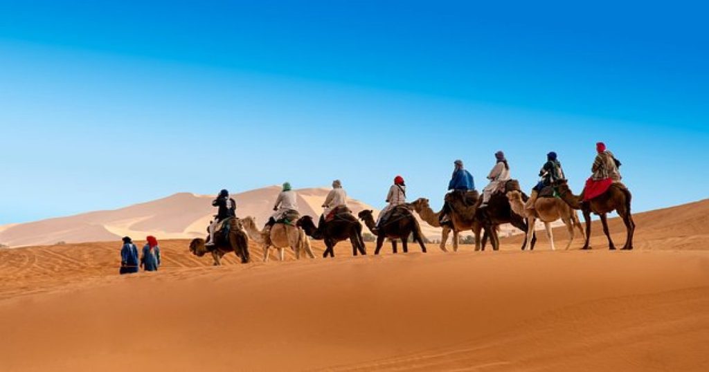 resize 16674784701696221123cameltrekking2022 Morocco Sahara Exploration