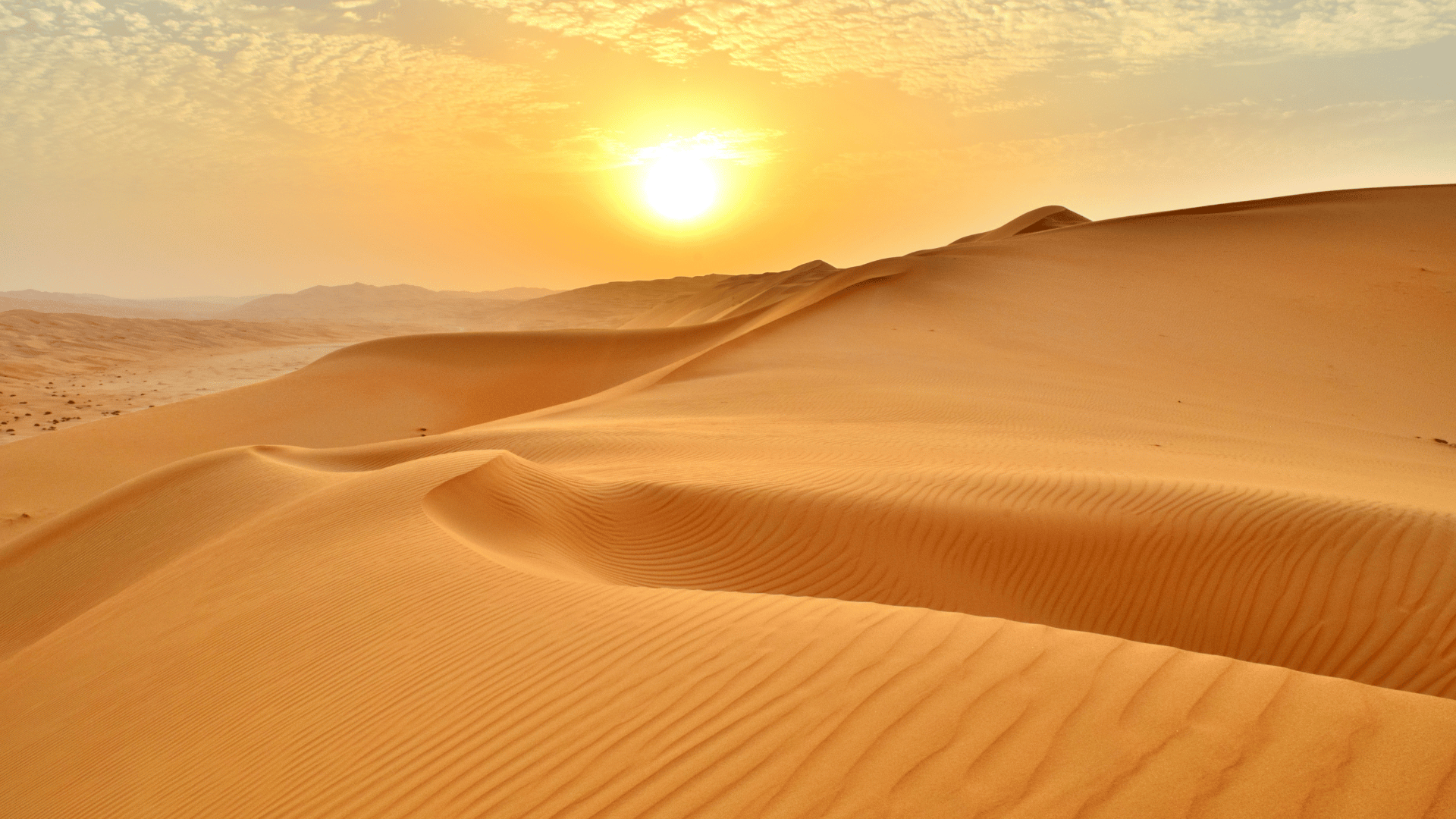 3-day desert tour from Marrakech