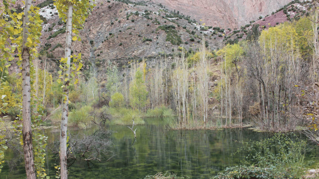 Autumn in Morocco