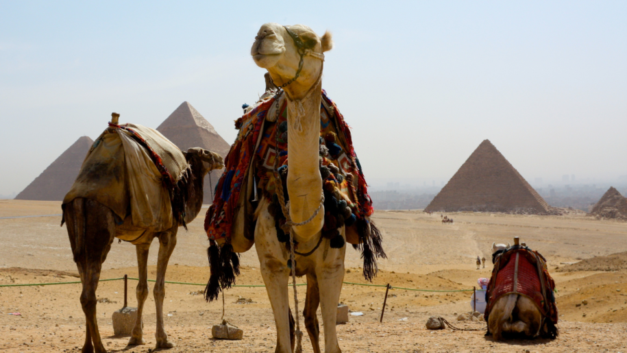 Morocco Camel Rides