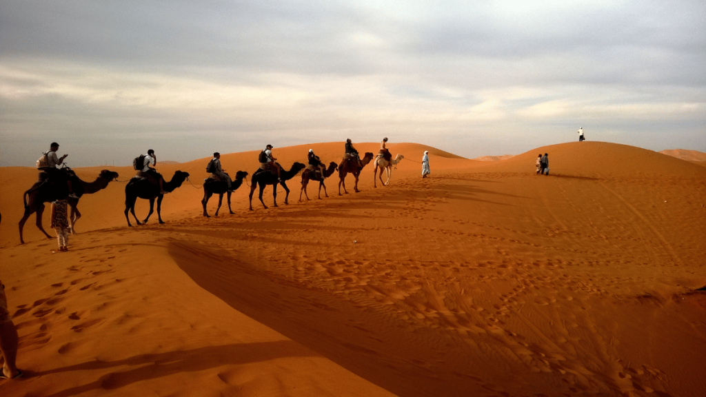 Camel Ride Experience in Dakhla