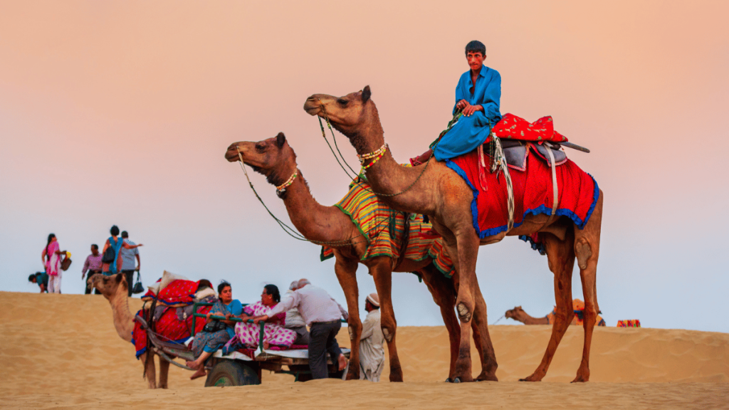 Camel Trekking in Tangier