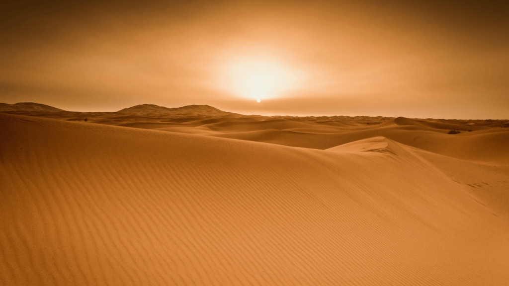 Majestic Sahara