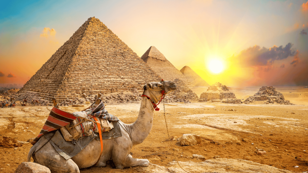 Moroccan Camel Ridin and Cultural Involvement