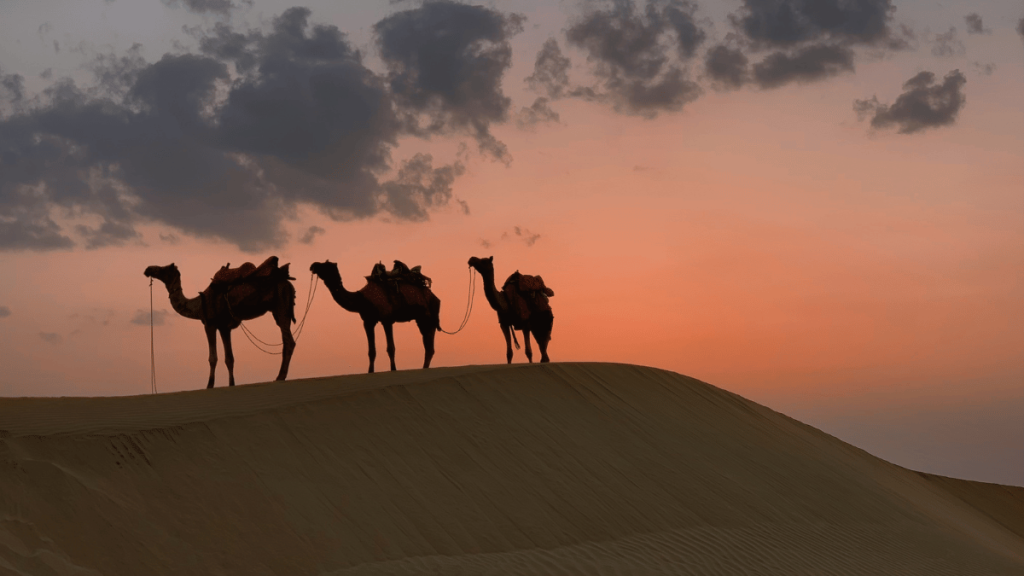 Nights Merzouga Desert Camel Trek