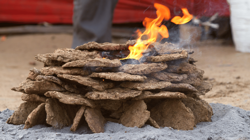 Camel Dung