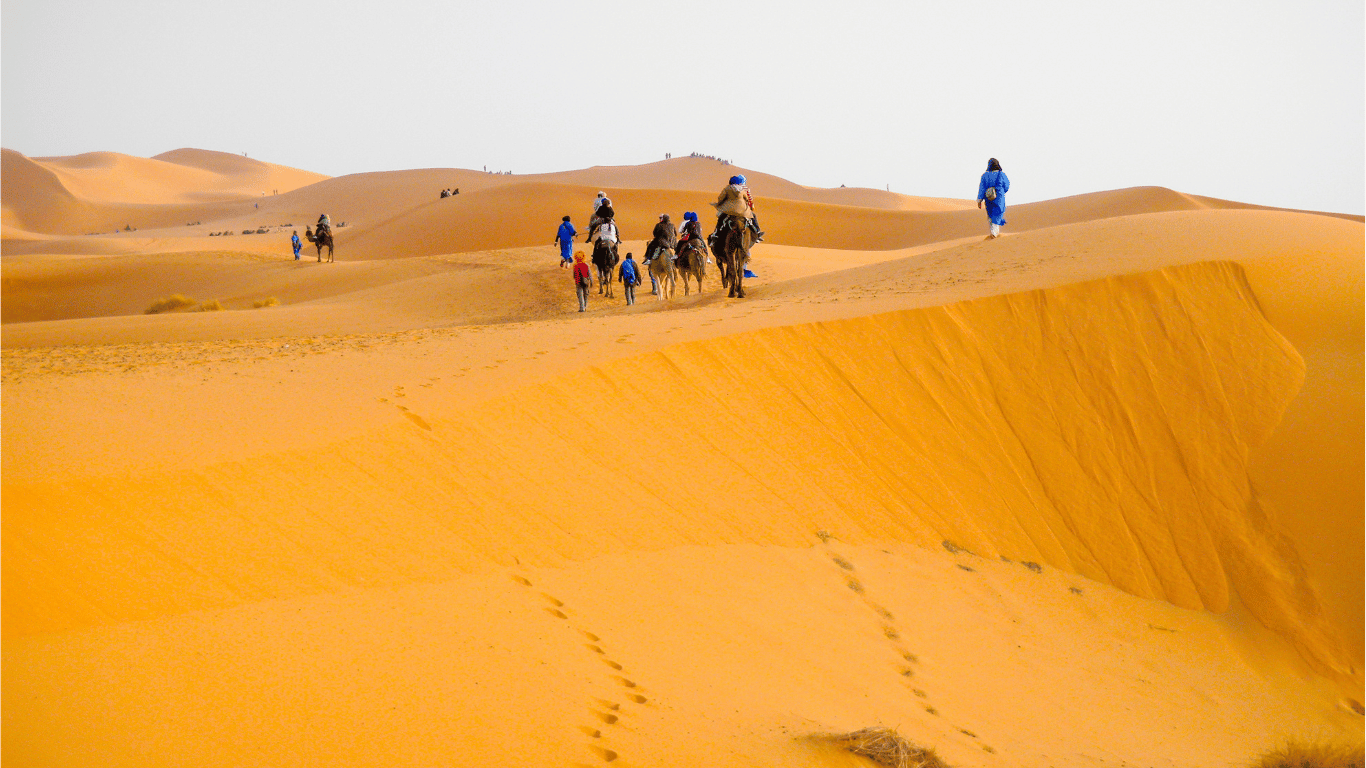 Zagora desert