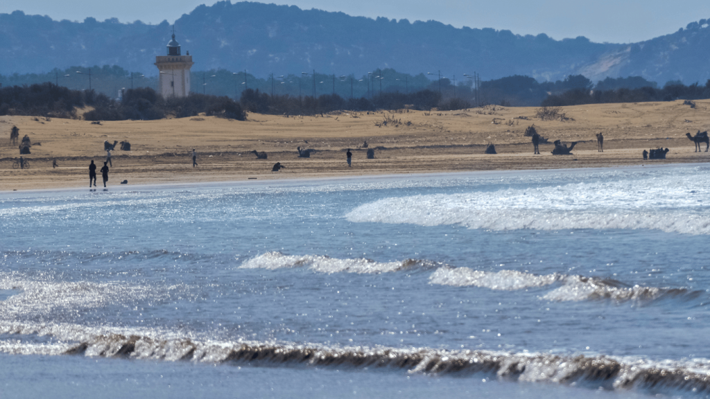 Essaouira Seasides