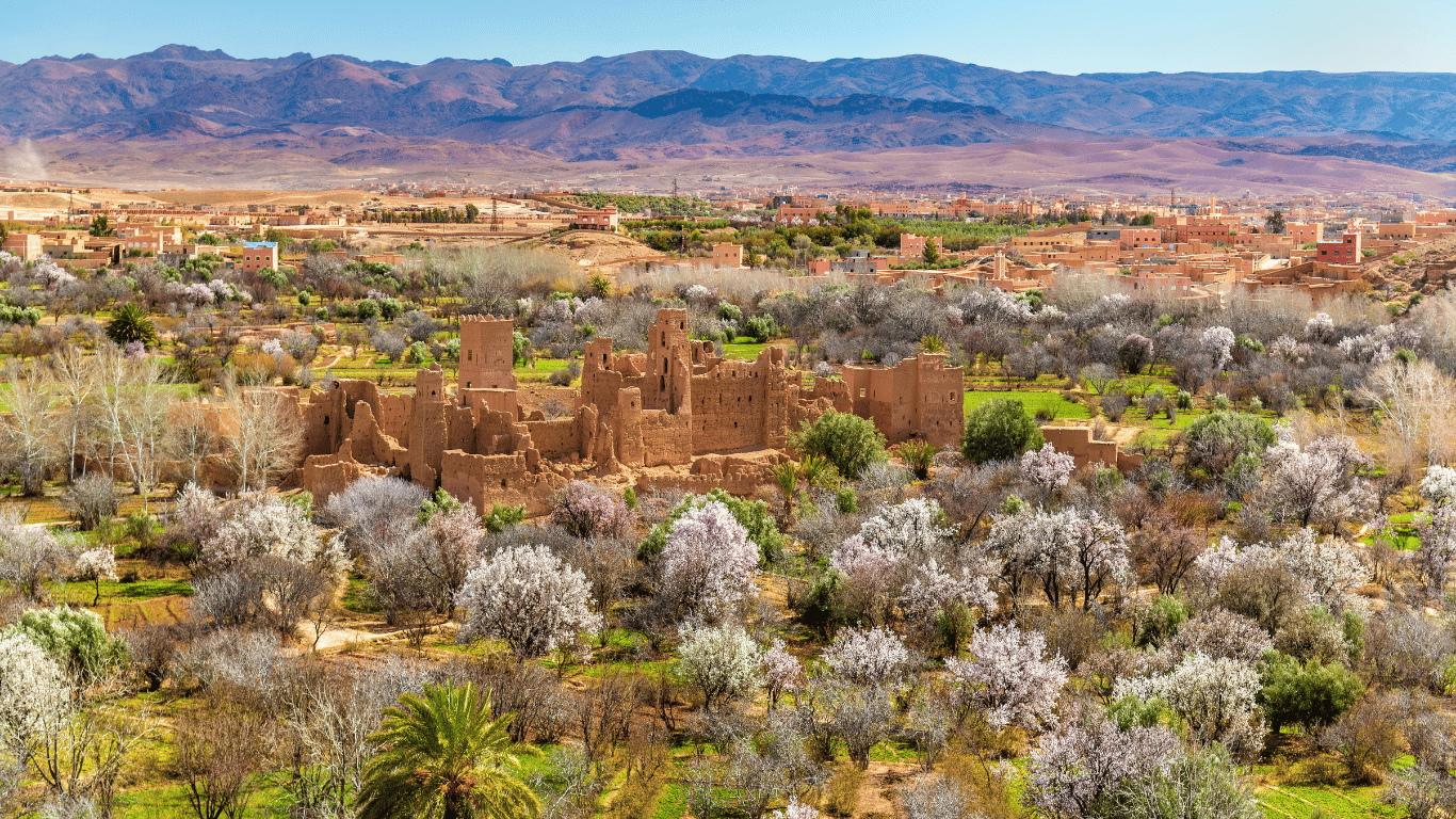 Morocco Valley Of Roses