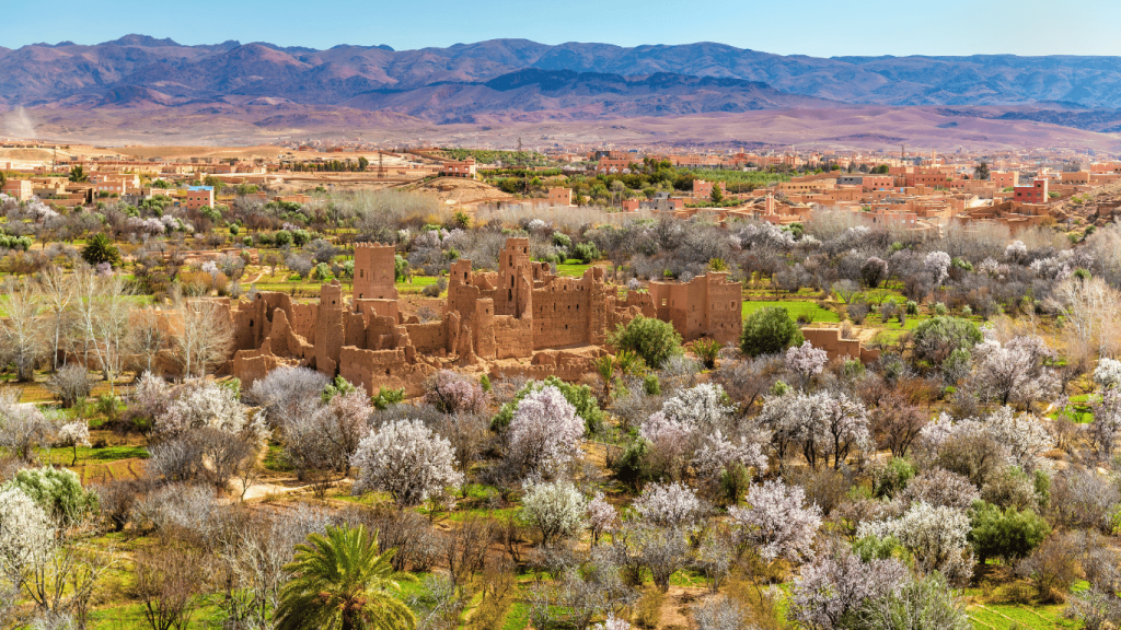 Valley of Rose, Morocco