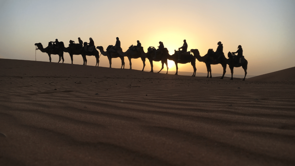 best time to go to Merzouga